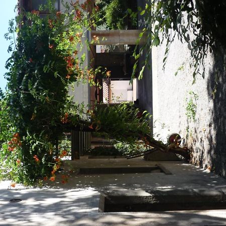 科特戴诺斯住宿加早餐旅馆 扎尼卡 外观 照片